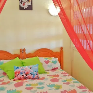 https://hotel-sun-holidays.tenerifehoteles.net
